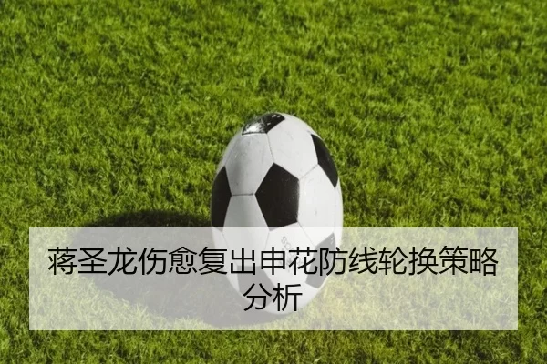 蒋圣龙伤愈复出申花防线轮换策略分析